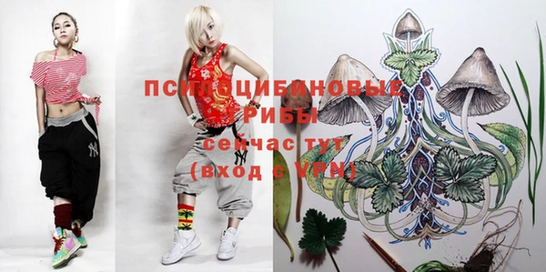 гидропоника Куйбышев