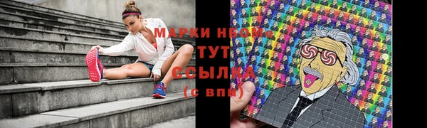 гидропоника Куйбышев