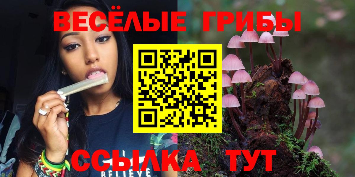 Псилоцибиновые грибы мицелий Каменск-Уральский